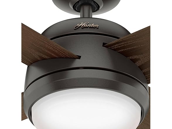 Hunter Fan 52" w/ Light Kit and 4-Blades
