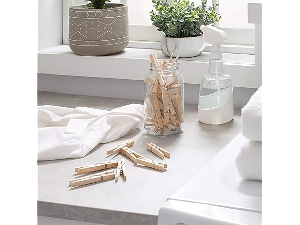 WOOLITE Laundry 360 48-pk Wood Clothes Pins
