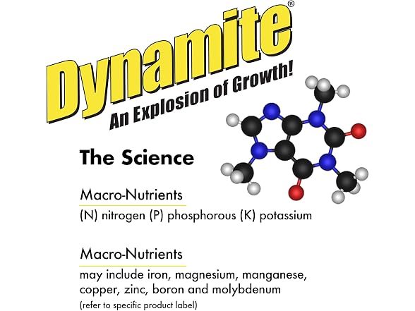 Dynamite All Purpose Plant Food 1-Pound