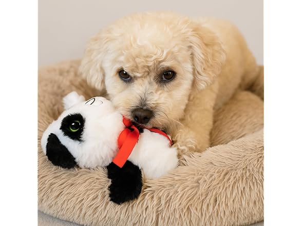 Holiday Baby Panda Plush Crinkle Dog Chew Toy