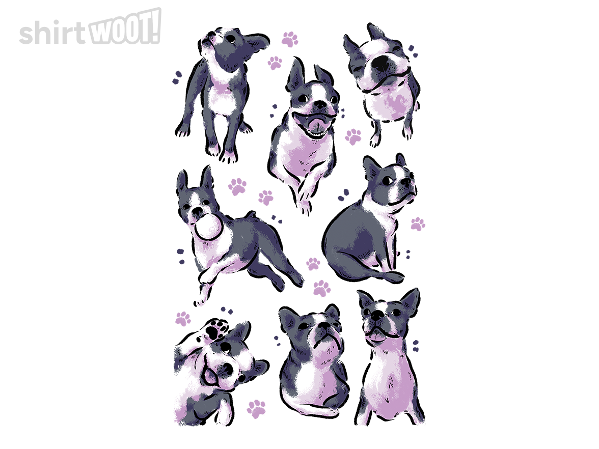 Boston Terrier Love - Gallery 4