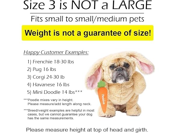 Pandaloon Pet Costume As Seen on Shark Tank