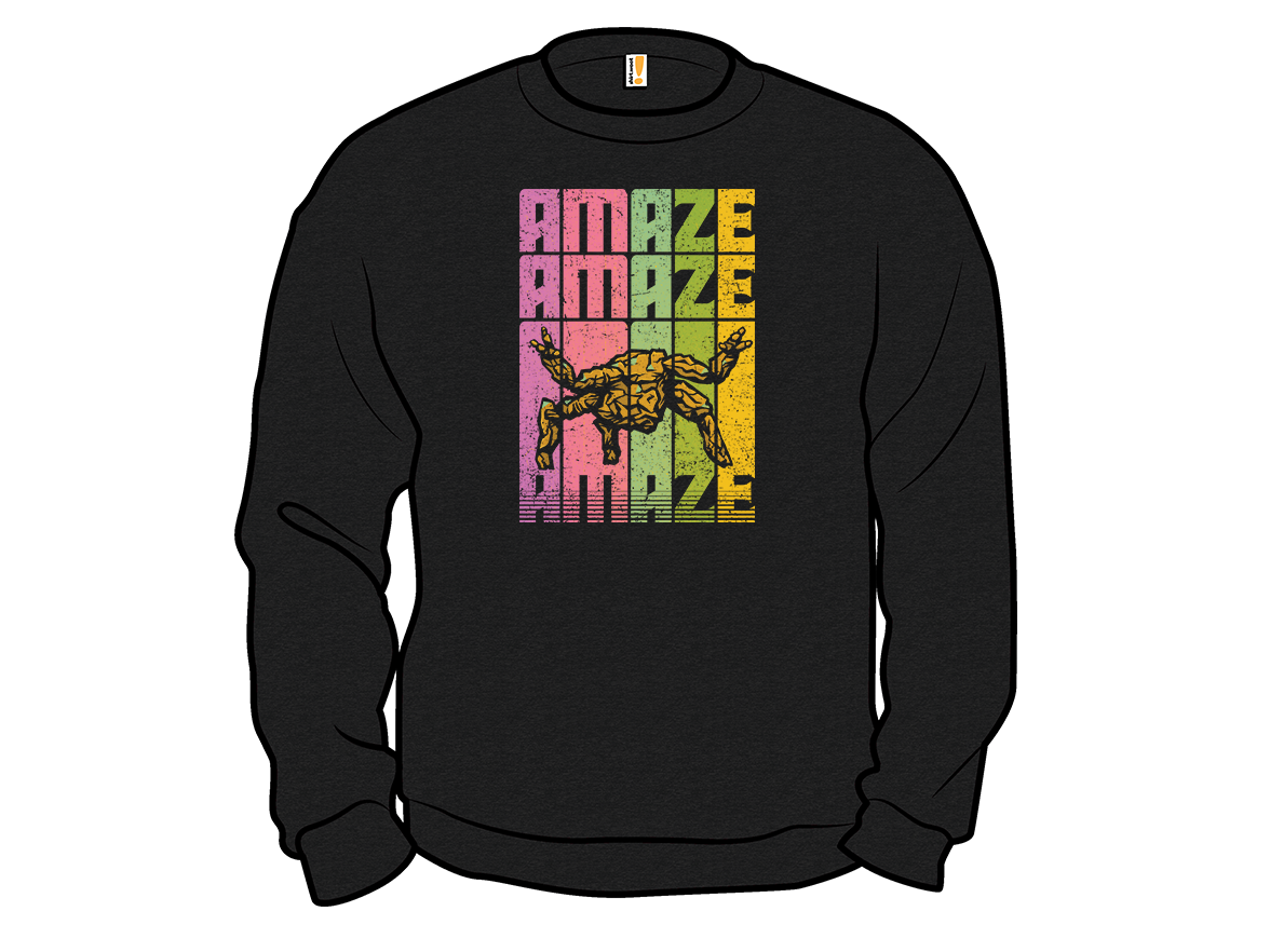 Amaze Amaze Amaze! - Gallery 11