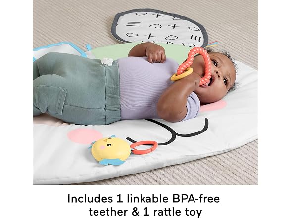 Fisher-Price Baby Tummy Time Toy