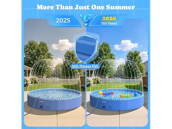 Pawtners Foldable Kiddie Pool