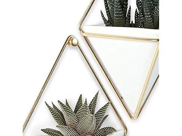 Umbra Trigg Hanging Planter Wall Decor