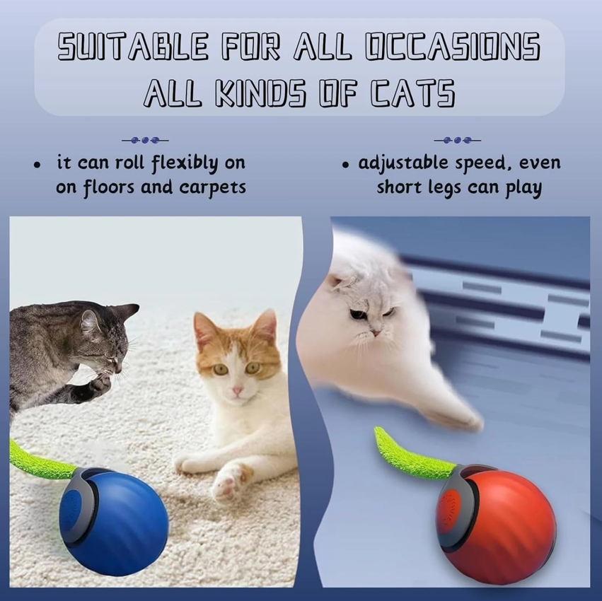 2-Pk Speedy Tail Interactive Cat Toy - Gallery 7