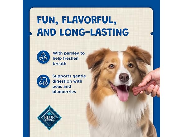 Blue Buffalo Dental Bones Mini Natural Dog Treats