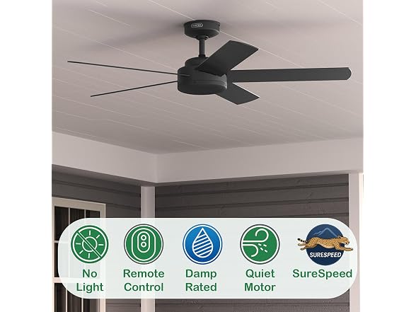 Hunter 52 Inch Black Outdoor / Indoor Ceiling Fan
