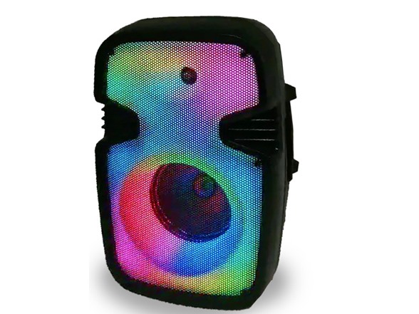 Rechargeable 10" Bluetooth Speaker