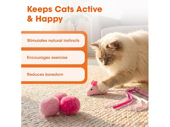 ASPCA 15-Piece Cat Toy Variety Pack