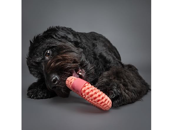 NOAH & PAW Luxury Dog Toy, TPU- Tug Ring, Pink