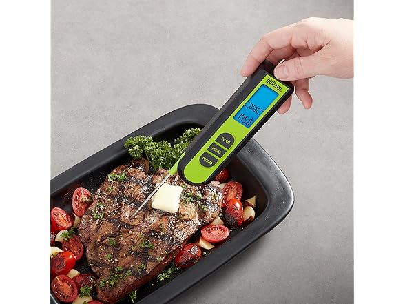 Taylor Taylor TruTemp Dual Instant Read Infrared Meat and