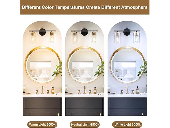 Black Bathroom Light 2-Light Vanity