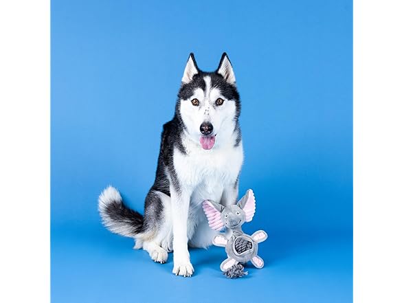 Fringe Studio Plush Dog Toy with Rope, Squeaky Rope