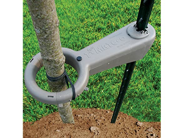 Tree Sprout Support - Tree Mate O Support