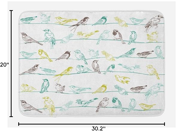 Ambesonne Birds Bath Mat, Various Type of Birds