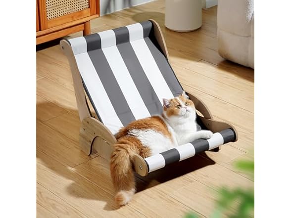 Black & White Stripes