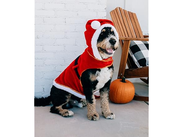 Lazy One Santa Dog Costume, Dog Halloween Co