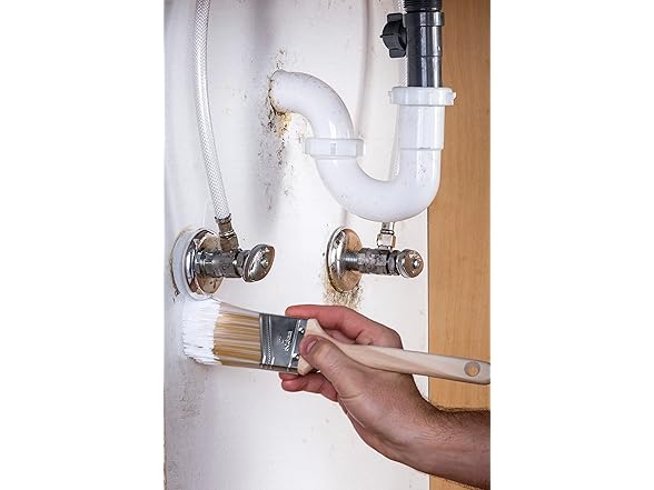 Zinsser Mold Killing Primer, 4 Pack