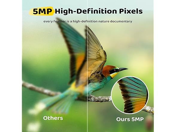 Loatos Bird Feeder with Camera