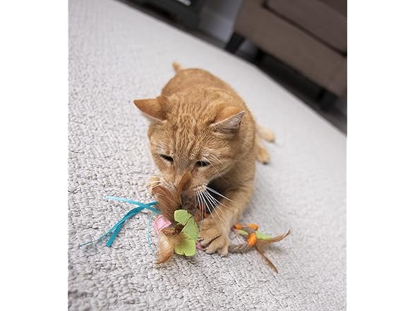 SmartyKat Dream Dangler Feather Cat Toy