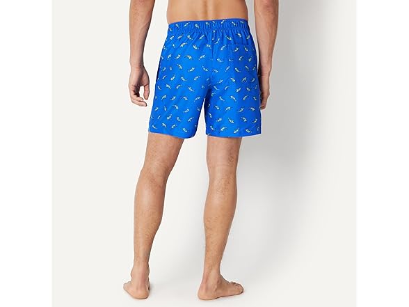 Amazon Essentials Mens Swim Trunks with Mesh Lining