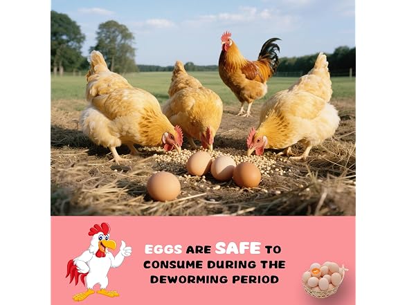 Genveticon Chicken Dewormer Powder 1lb
