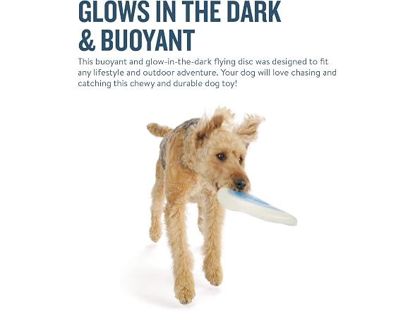 Planet Dog Orbee-Tuff Zoom Flyer Disc Glow-in-The-Dark