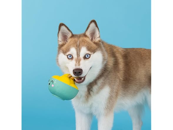Fringe Studio Dog Toy, You Make Miso Happy