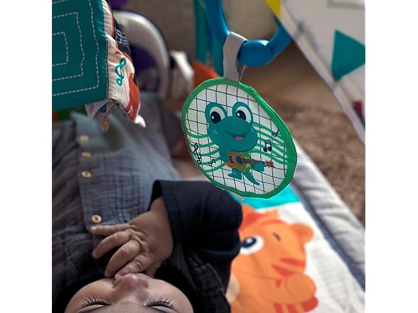 4-in-1 Music and Language Play Gym