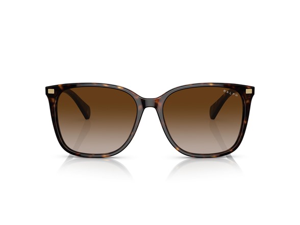 Shiny Dark Havana/Gradient Brown