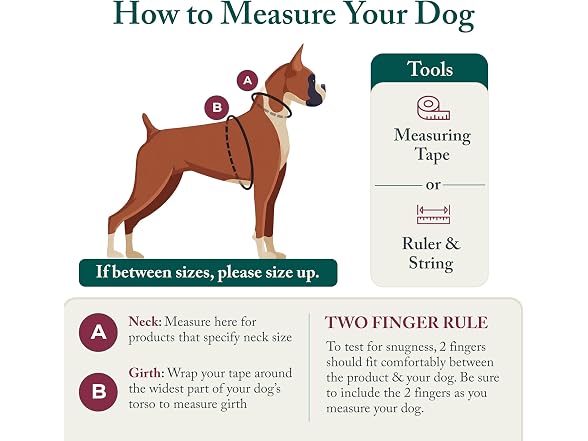 Sporn No Pull Dog Harness, Durable Nylon Mes