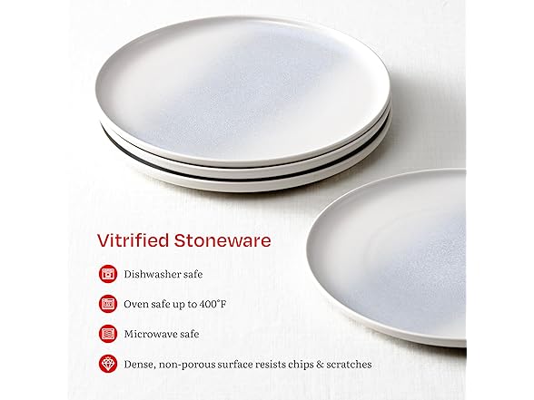 Eater x Zwiesel Fortessa Foss Stoneware, 12 Piece Dinnerware Set 