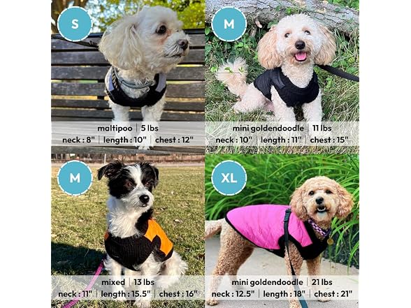 Gooby Fashion Vest Dog Jacket, Violet, Small