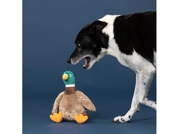 Fringe Fringe Studio Just Ducky! Plush Dog Toy
