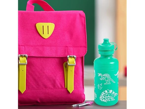 Dinosaur Plastic Water Bottles - 18 oz. (Pack of 12)