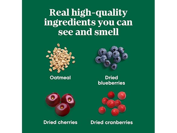 Nutro Crunchy Dog Treats Berries, 16 oz