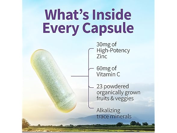 Garden of Life Zinc 60ct