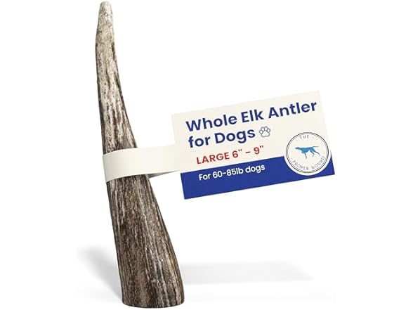 The Proper Hound Whole Elk Antlers for Dogs Sz L
