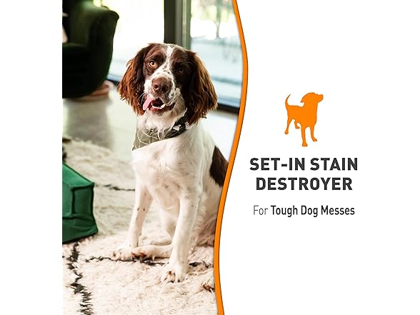 Nature’s Miracle Set-In Stain Destroyer For Dog Messes