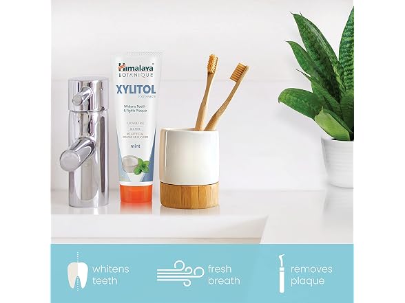Himalaya Botanique Xylitol Toothpaste Mint 4oz
