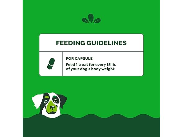 Greenies Pill Pockets for Dogs Large Size, 7.9 oz.