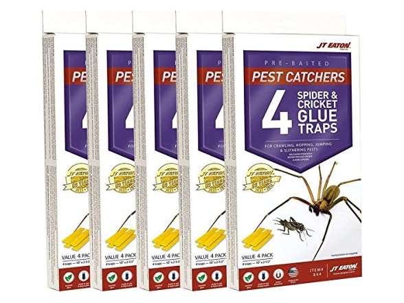 J T Eaton Spider and Cricket Glue Trap (Pack of 5)