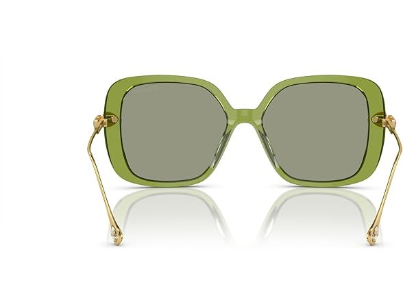 Swarovski SK6011 Sunglasses