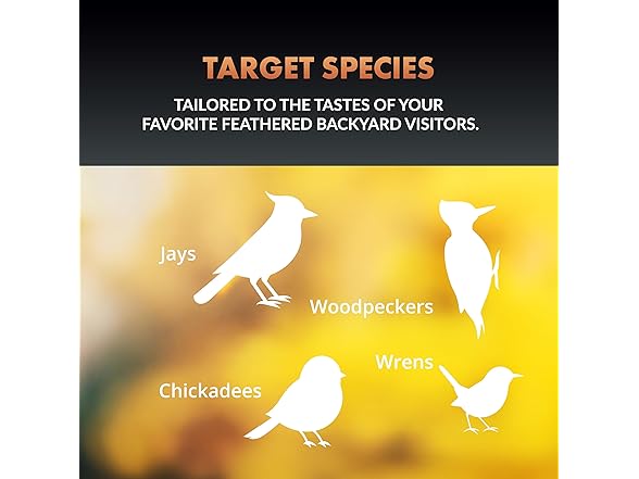 Newhouse Pet DIY Wooden Birdhouse Kit