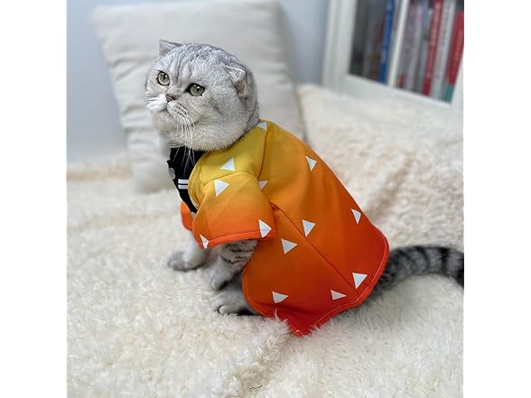 Cat Costume Anime Cat Clothes Cat Halloween