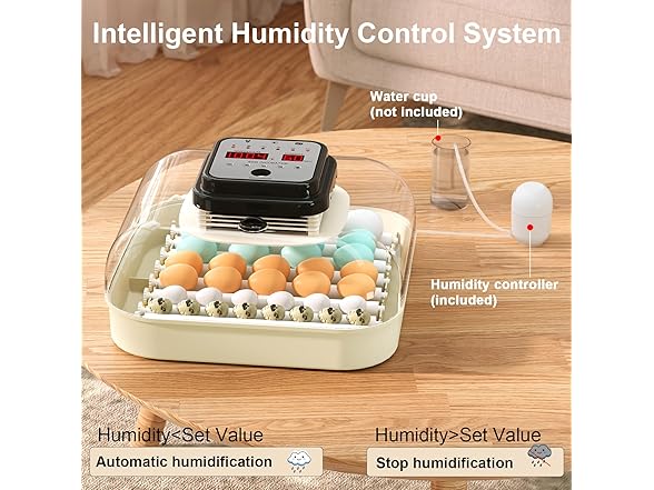 CoInceptus 35 Eggs Incubators