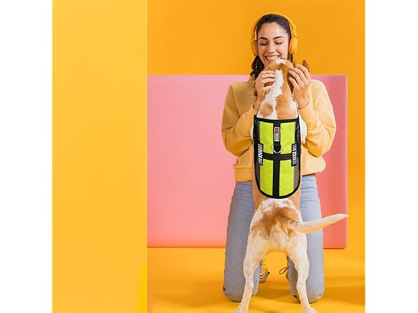 Dogline Service Dog Vest, 13 by 16-In, Lime