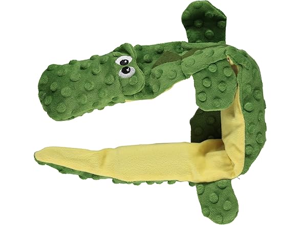 Alligator